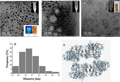 Highly Sensitive Fluorescent Biosensor Based on Acetylcholinesterase and Carbon Dots–Graphene Oxide Quenching Test for Analytical and Commercial Organophosphate Pesticide Detection